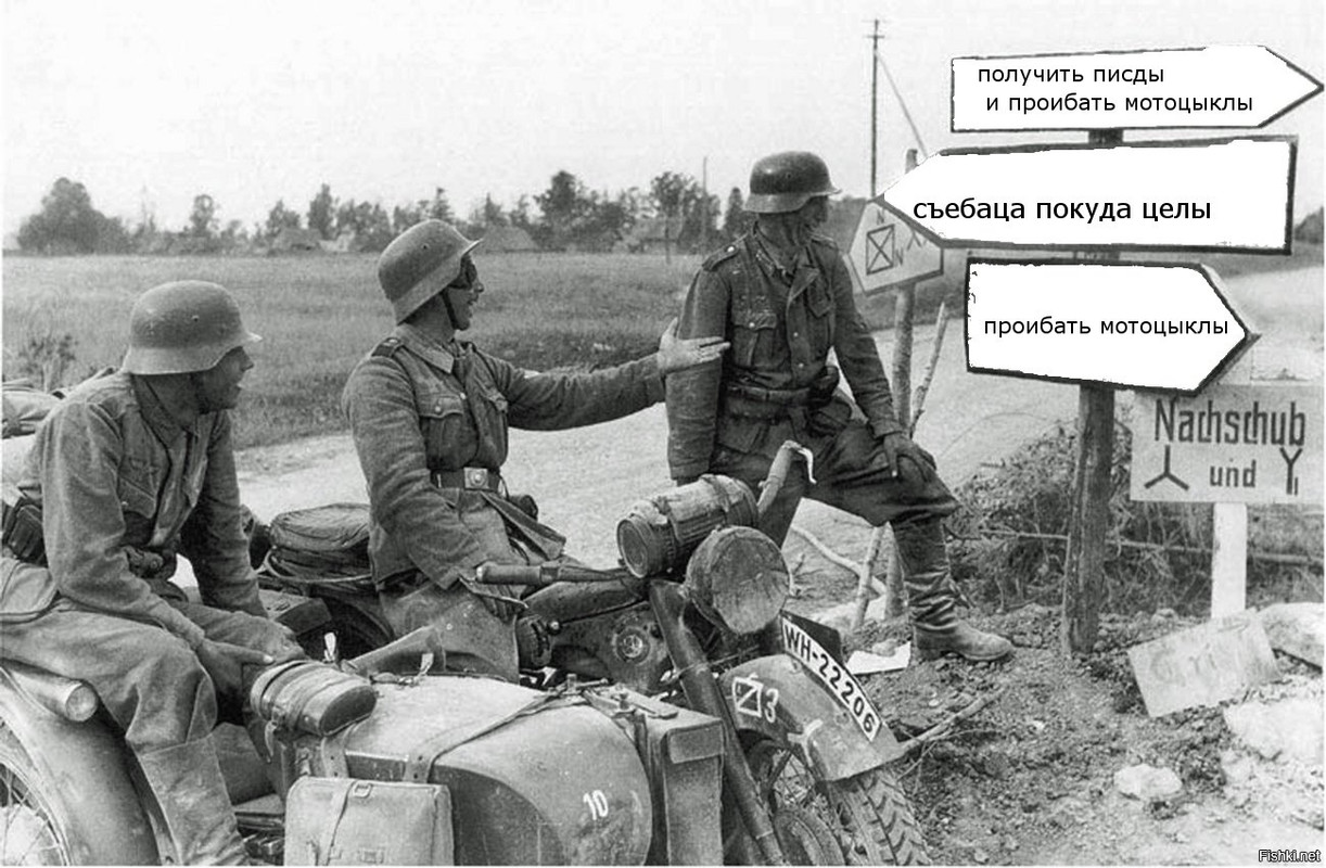 https://i.postimg.cc/7YnP989m/1f5f413e2cf84f14e819600fe46133ff.jpg