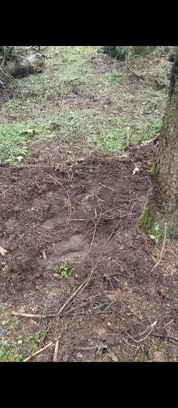 Screenshot 20251130 170119