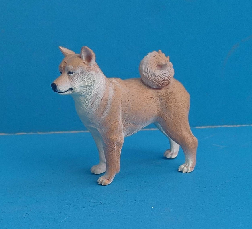 2022 STS Dog Figure of the Year Safari-shiba-inu-2