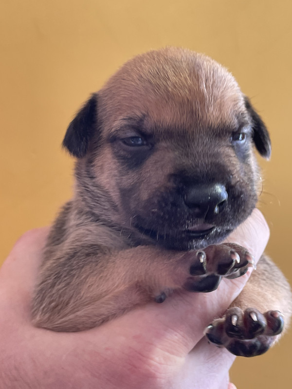 CA077B3B-7D74-48E2-972D-5138EDA594E4