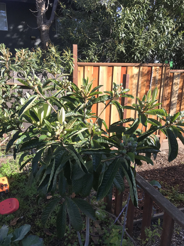 8E9F040A-25A5-40BB-A46D-FDF779FAEB86