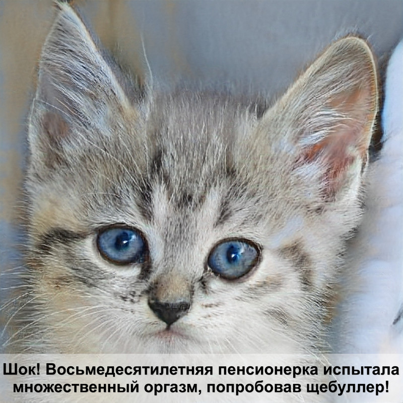 как сделать домик для кота из коробки