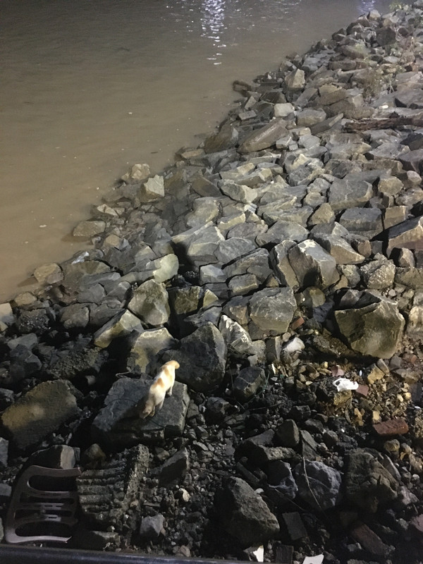 2E2FBFF9-5944-41B4-8BED-ADE334AECEFB