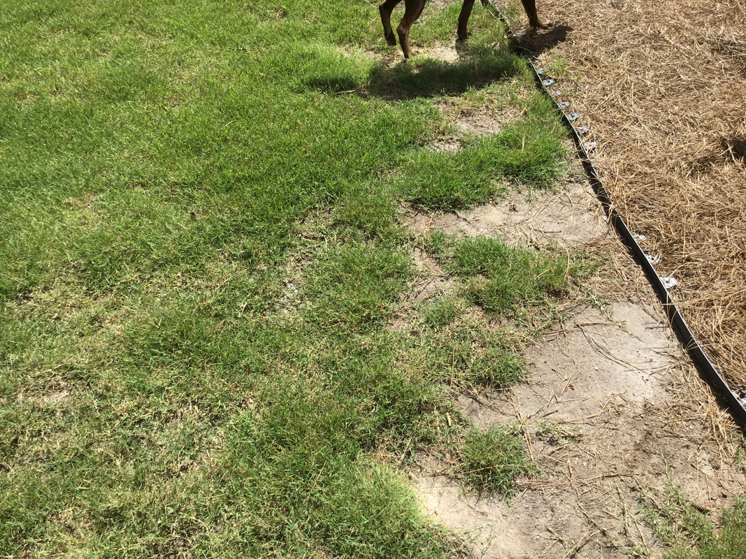 022A1579-DCED-467D-8232-0427E8F14F78