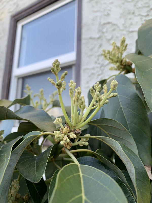 DCA0DCF6-F72C-4DE1-AD71-83DD296C12F7