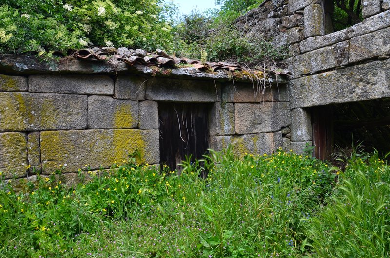 SANTIAGO DE RUBIAS-28-5-2024 - Galicia y sus pueblos - 2017/2024 (24)