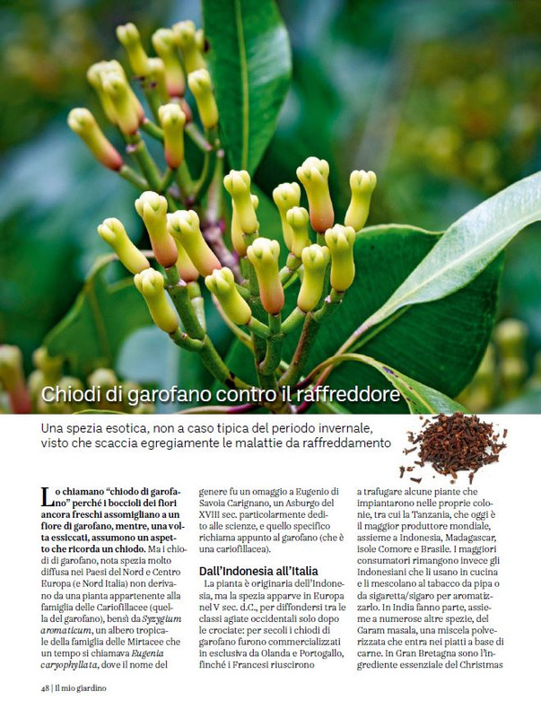 il mio Giar Feb-Mar 2024 (5)