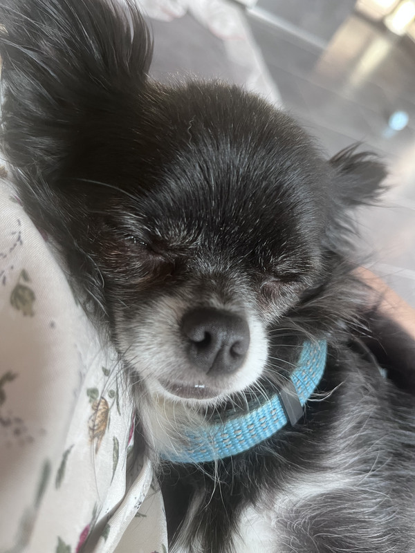 [Image: IMG-4800.jpg]