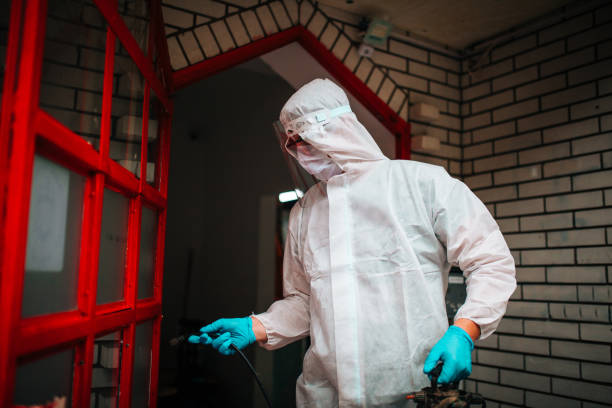 Termite Treatment Kissimmee