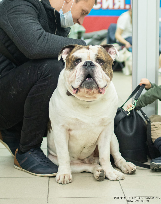 IMGP6911 - копия