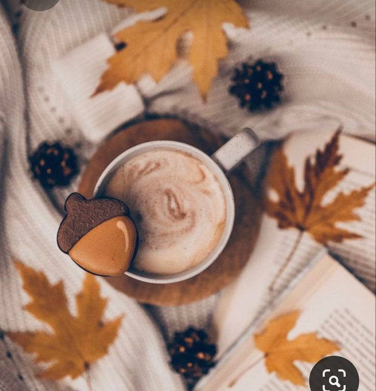 Screenshot_20231008_222843_Pinterest