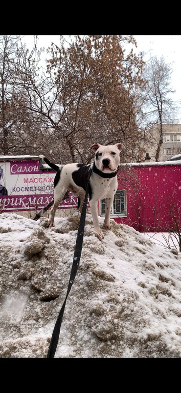 AAEB6387-32D3-4051-8559-D21786632ABD