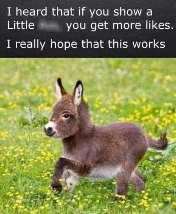 little.jpg