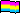pansexual