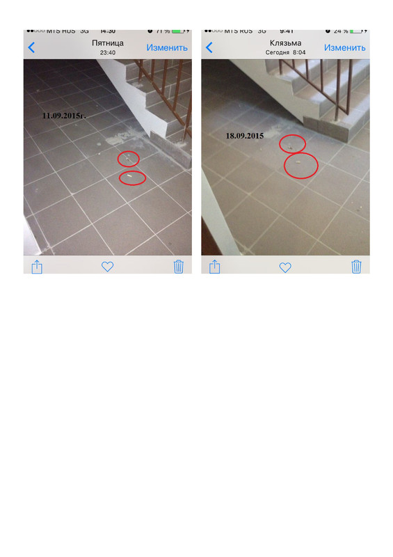 1 этаж лесница - Page 1