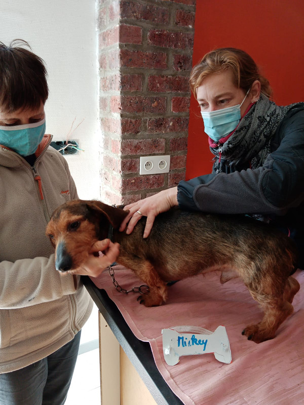 [Image: IMG-20210219-WA0000.jpg]