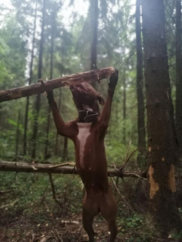 3CAB7759-AC00-4599-8185-1A92A8C951EF