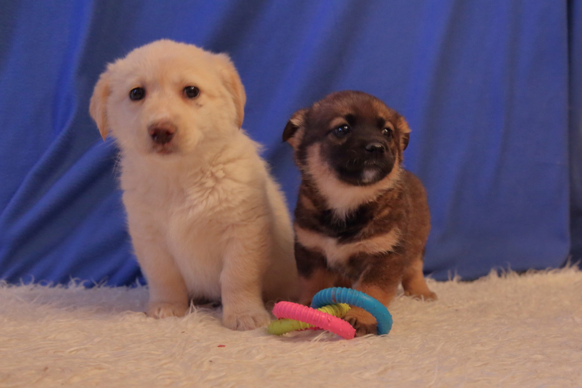 CBA4756A-4EB2-4B72-AB66-134BEBFAEE96