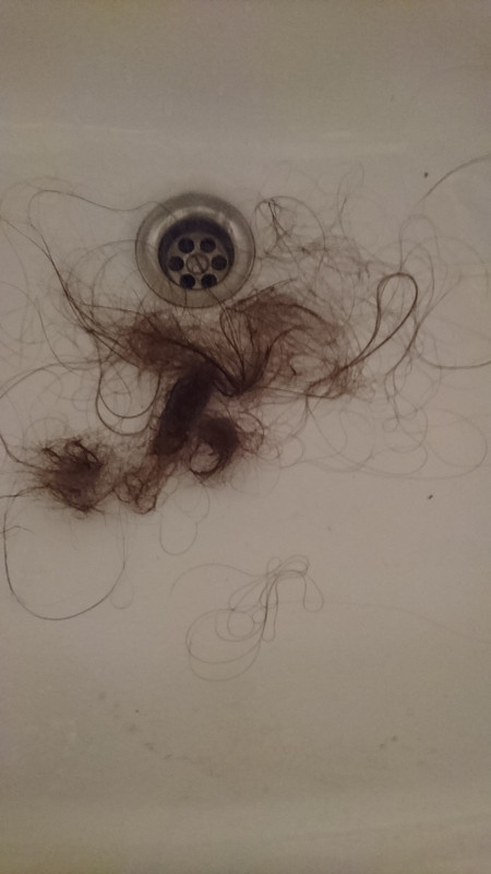 [Obrazek: DSC-1549.jpg]