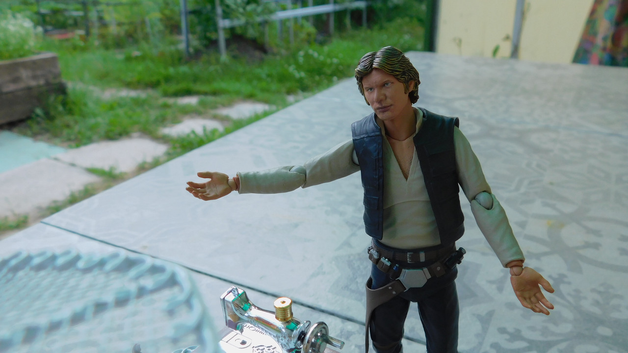 Дачно-Харлинский июнь-июль 2024 094