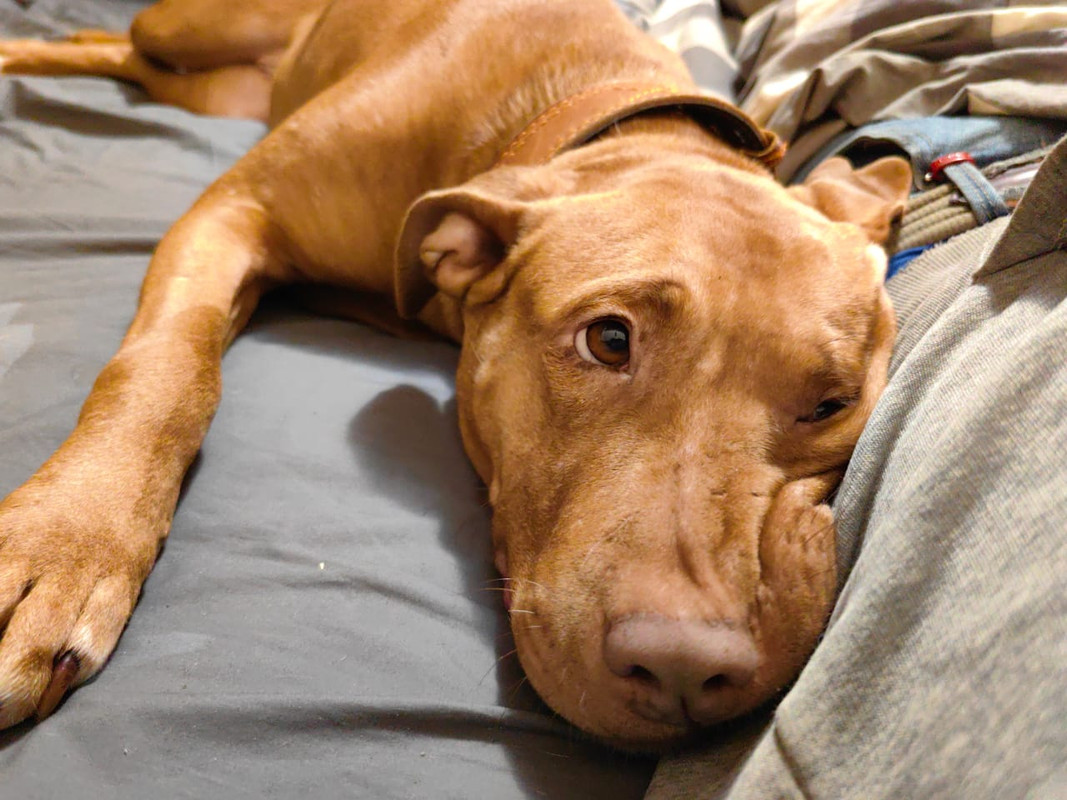 FAB73447-1719-497D-9D24-7E91E92ECCDC