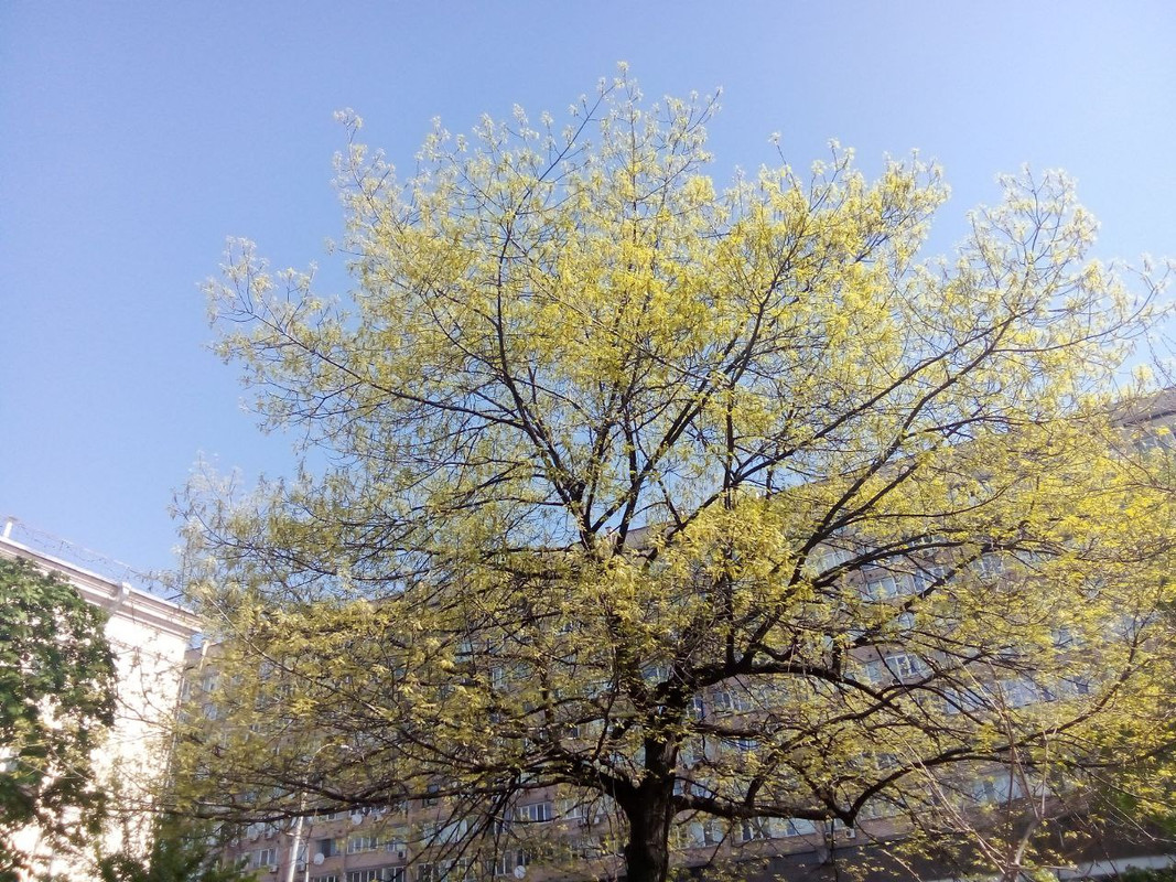 photo_2025-04-22 9.56.03 пп