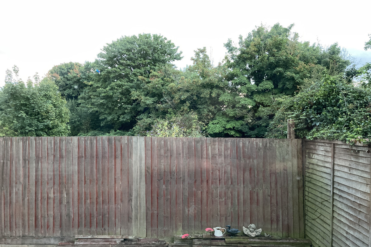 3529B191-B959-4103-8729-0EC169009F95