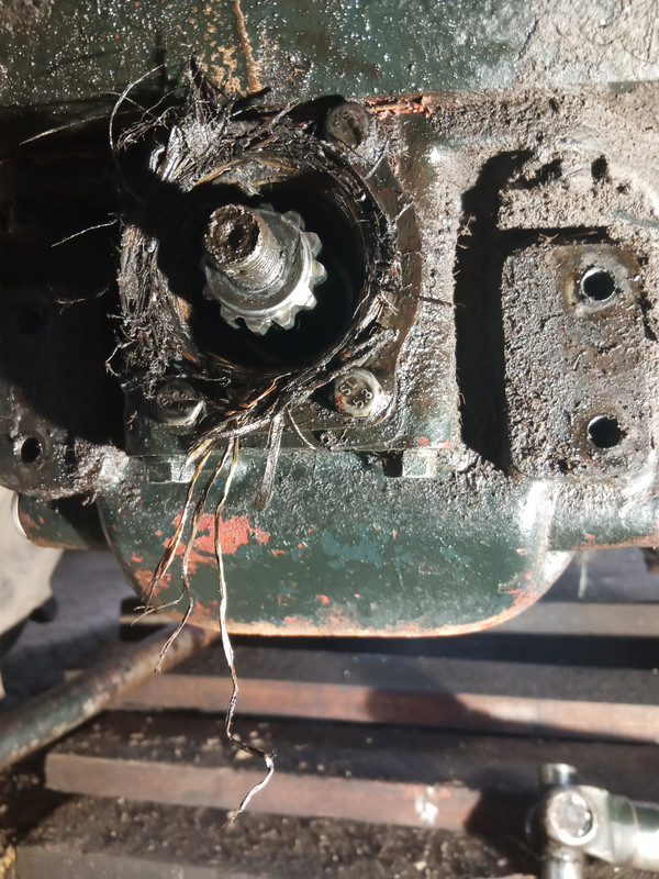 IMG 20260220 093845 405