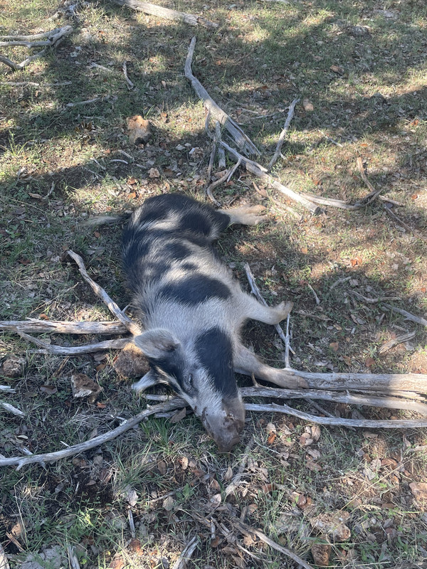 7EDA6917-6832-4B33-BA37-86356D488641