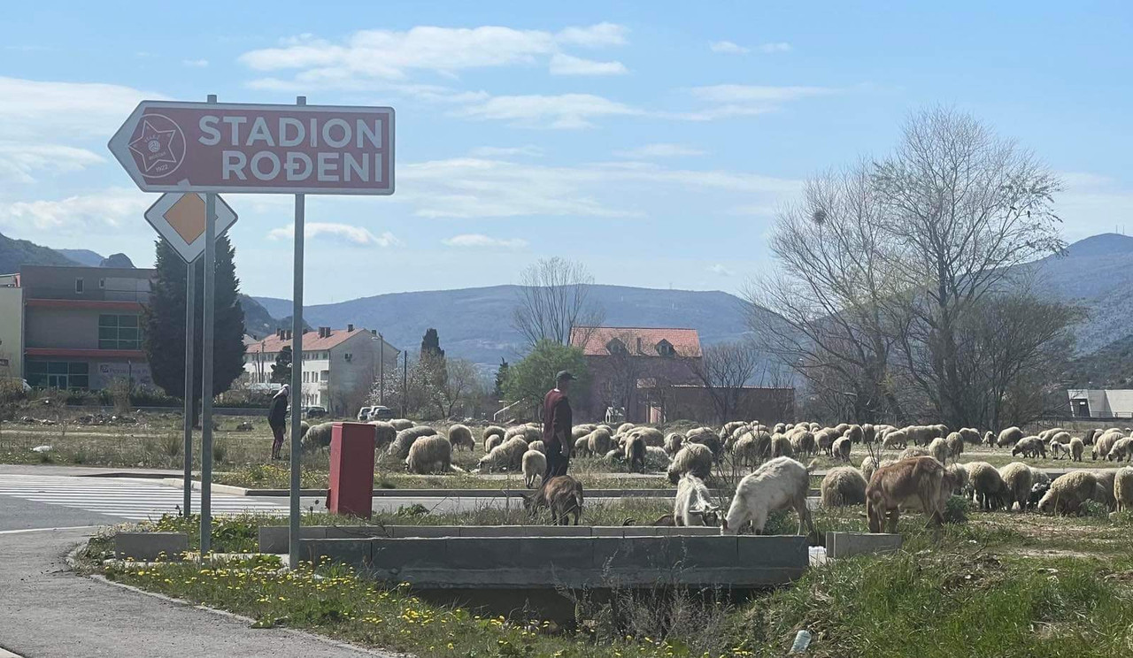 84AEFFA4-0198-4D87-B5C9-1D5CFA91BA3A