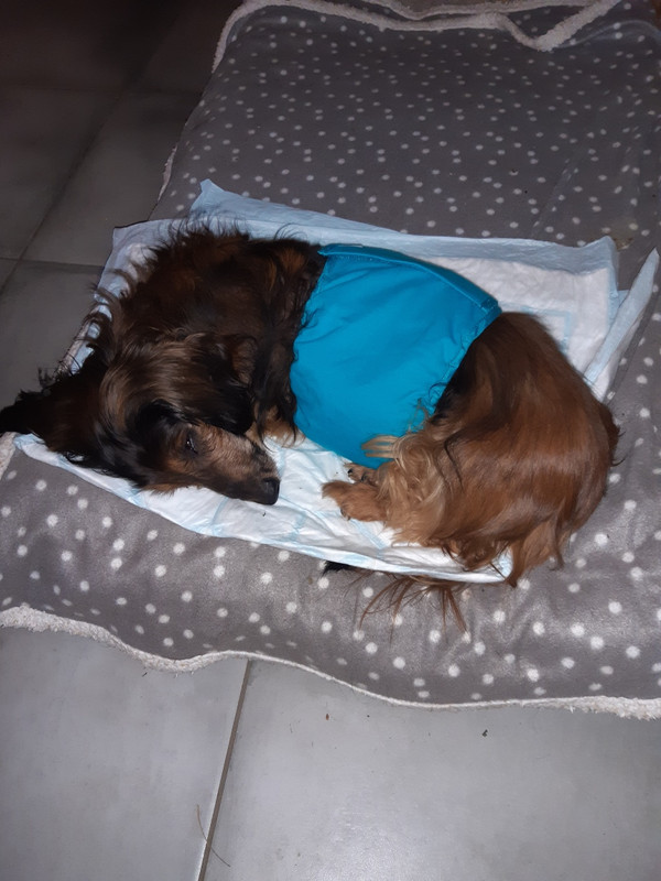 [Image: Resized-20231122-200709.jpg]