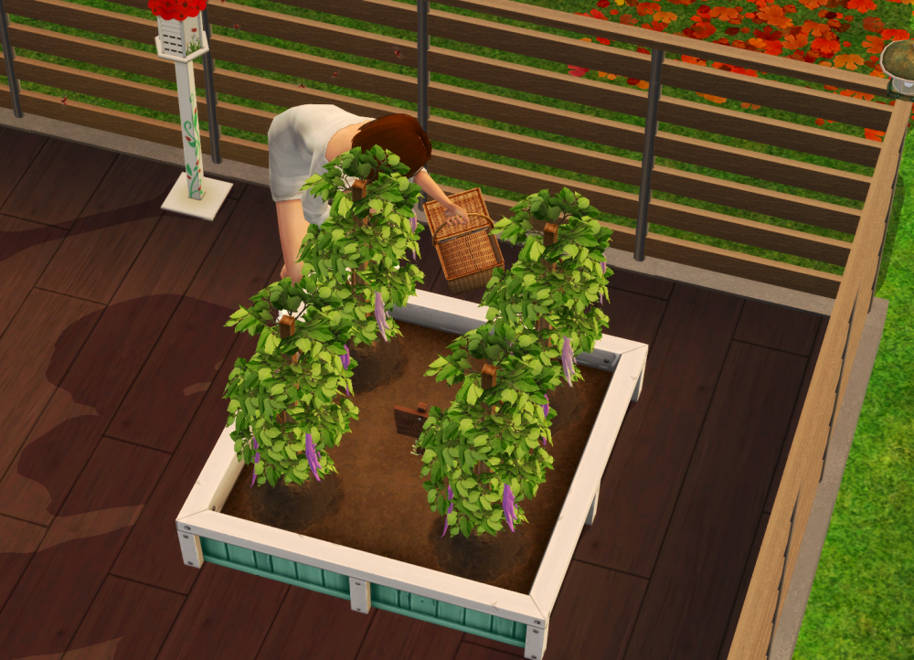 Sims2-EP9-RPC-2022-05-12-22-27-46-89