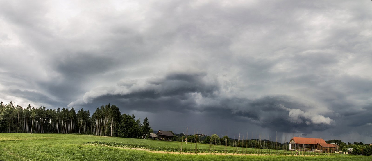pano_share(7)