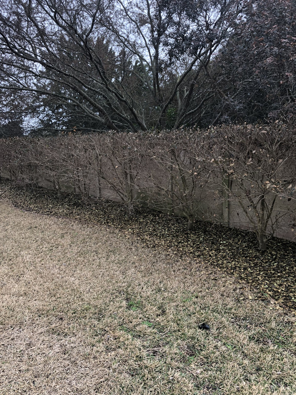 E2324135-A68-C-42-D5-AB21-3-FB2-D776-A22