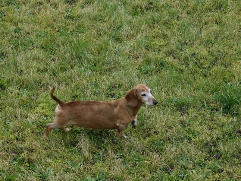 [Image: DSC00643.jpg]