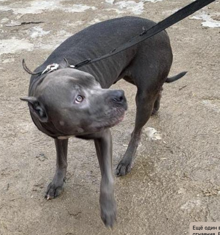 Снимок экрана 2025-03-05 в 17.05.01