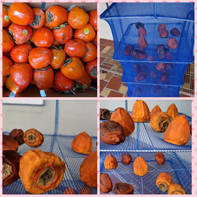 [Image: Photo-Grid-1607284606495.jpg]