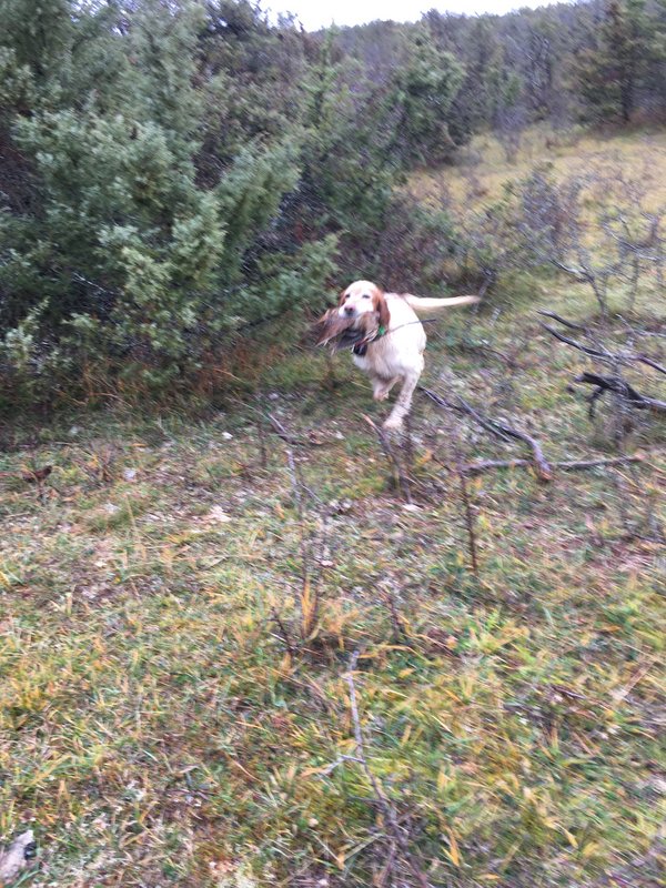 EFF59253-D484-4427-9578-33058A05D026