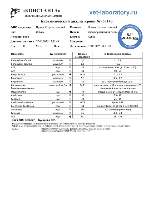 Биохимический анализ крови (939145)