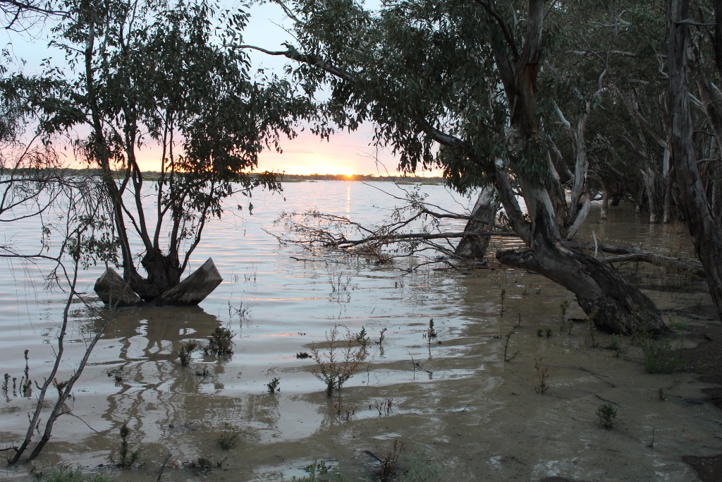 2021 Boys Googs Tk & Off-Track Desert Trip (127)