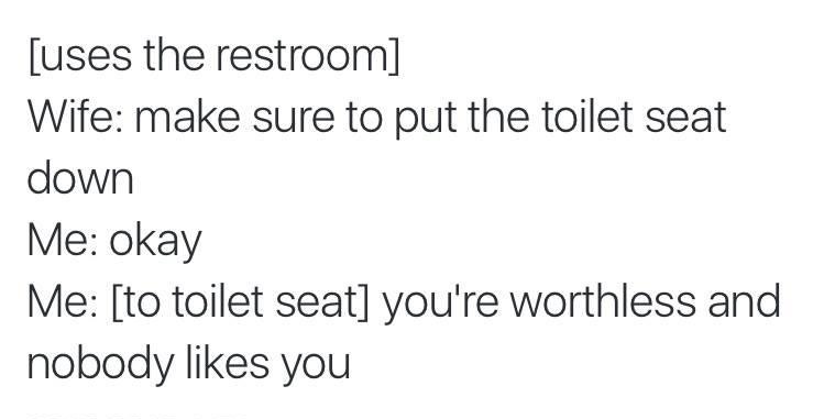 verbally-put-down-toilet-seat.jpg