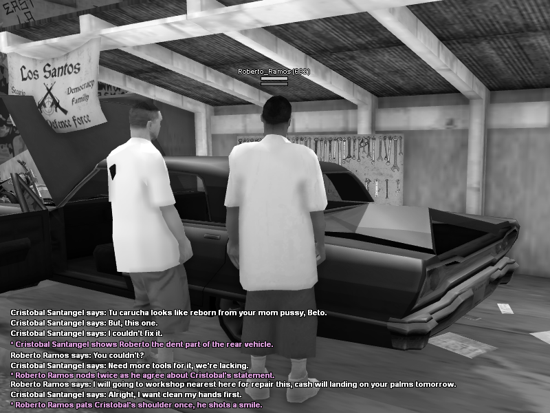 SS4.png