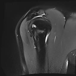 1 3 12 2 1107 5 2 51 182669 30000025110811221174400000054