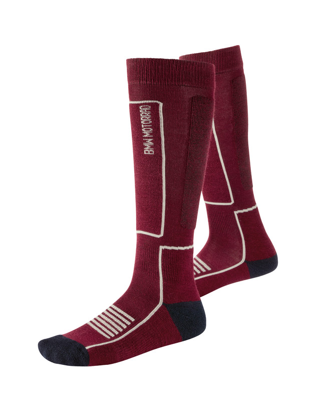 P90443318_highRes_bmw-motorrad-rider-e