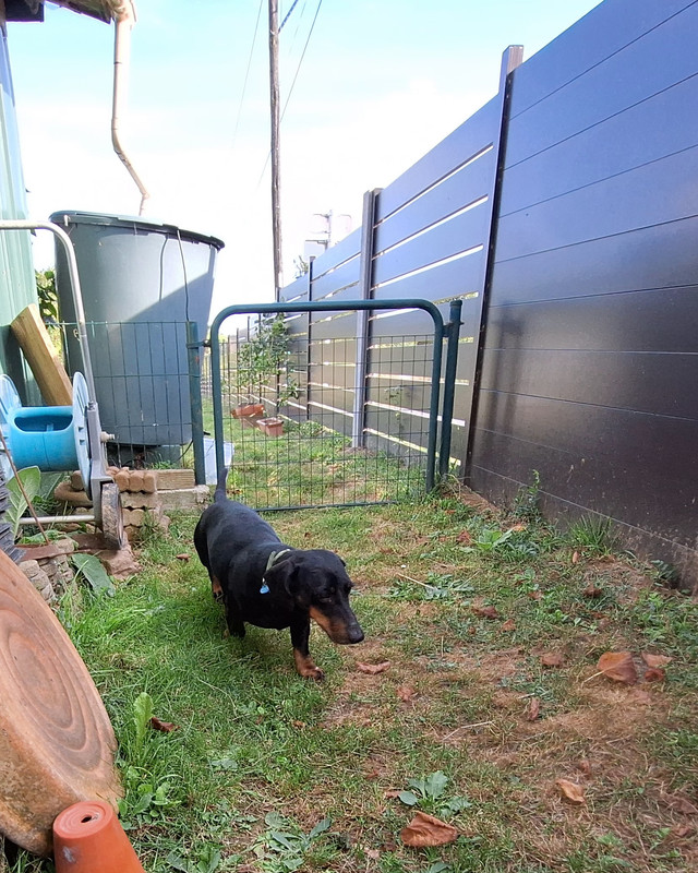 [Image: 20240821-181508.jpg]