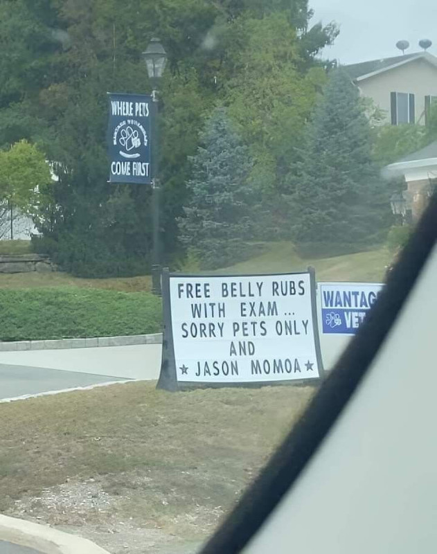 654309122 122252913974103360 6987119974175938276 n