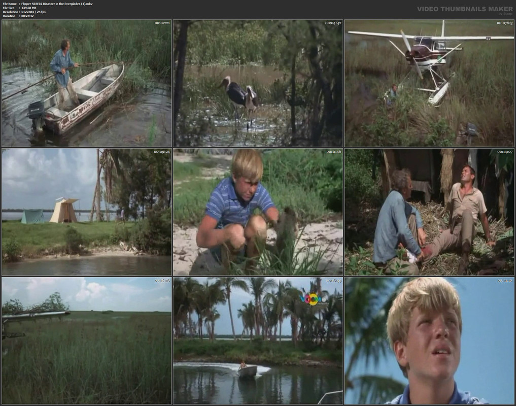 Flipper S03E02 Disaster in the Everglades (1).mkv
