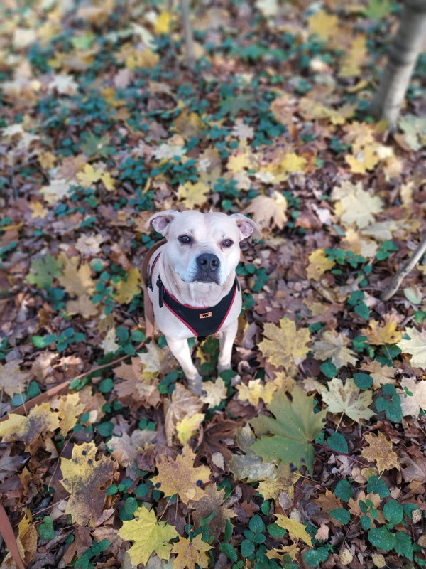 E386BCB6-12CA-4339-868D-0F949B9193CD