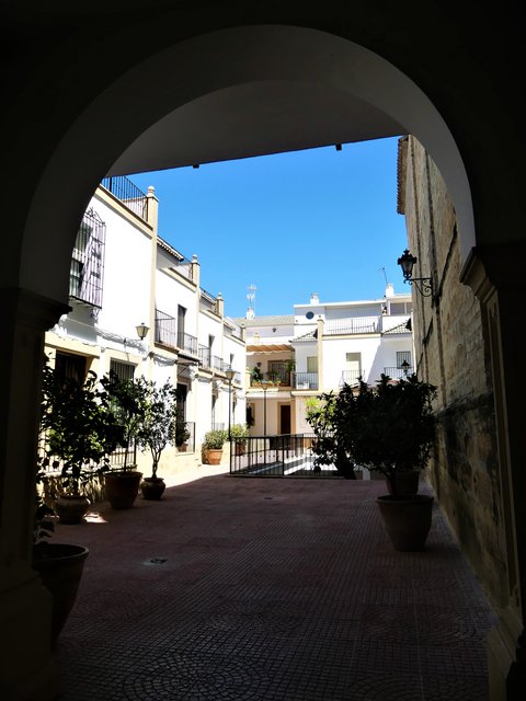 Córdoba y sus pueblos-2017/2020 - Blogs of Spain - MONTILLA-3-7-2020 (34)