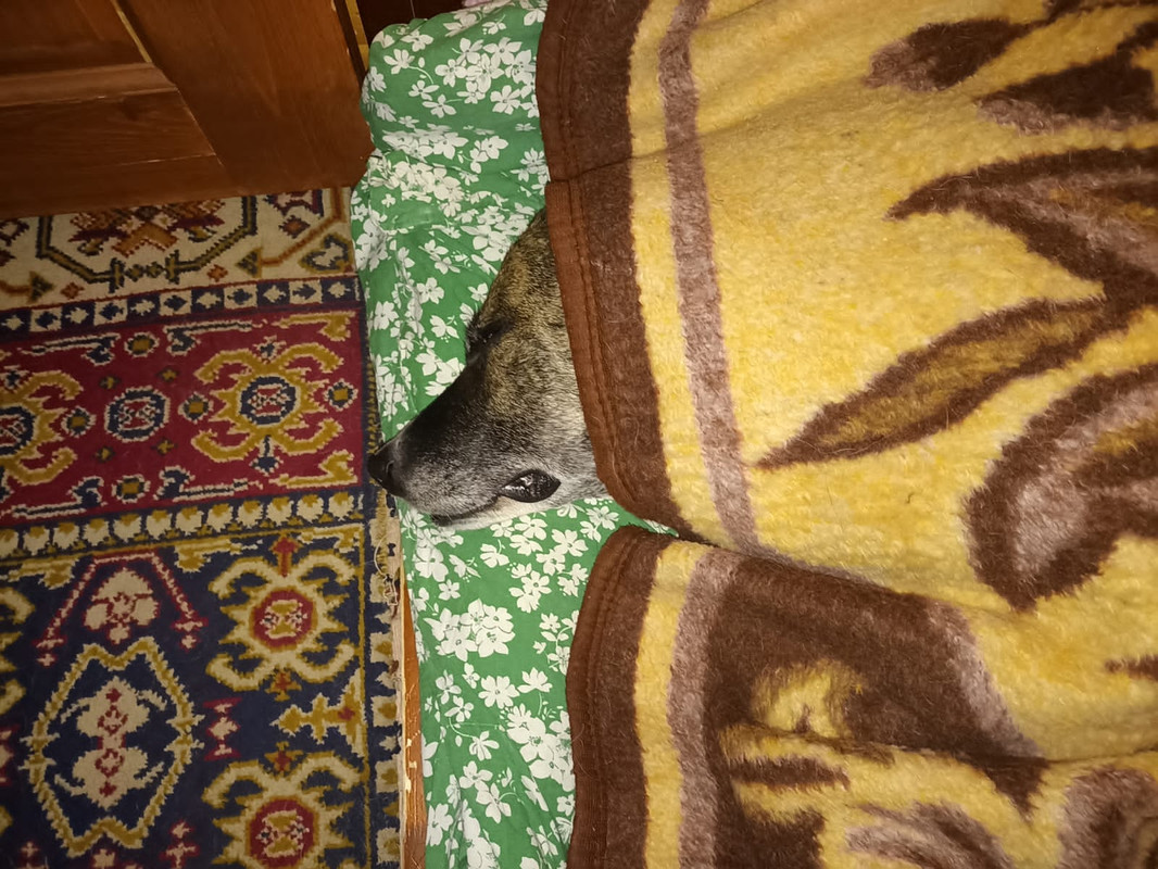 11D62809-254A-4158-A2F1-7D9F52B2453B